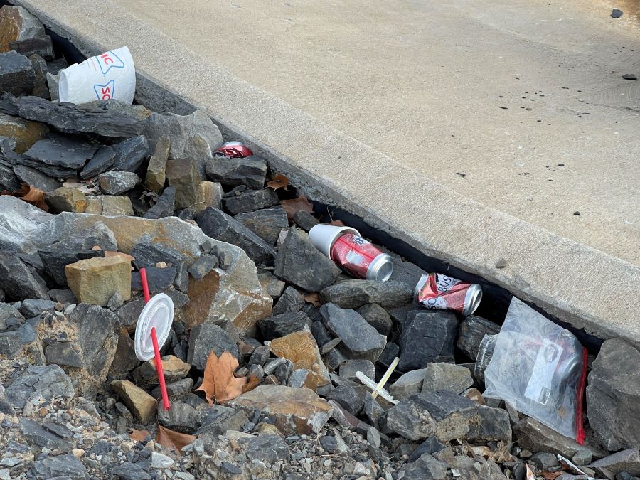 Parking Lot Litter